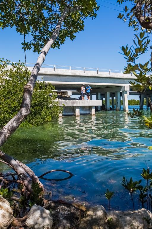 Creekside Inn Islamorada Tavernier Kültér fotó